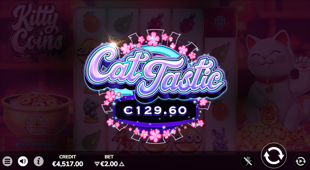 Kitty Coins win celebration screen