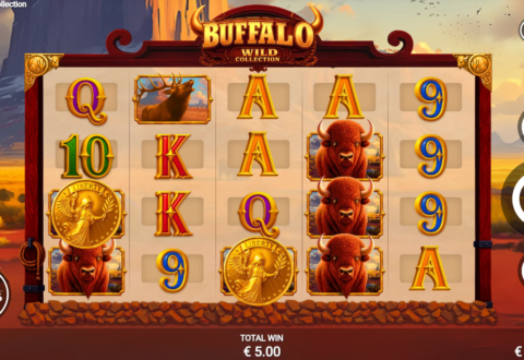 Buffalo Wild Collection