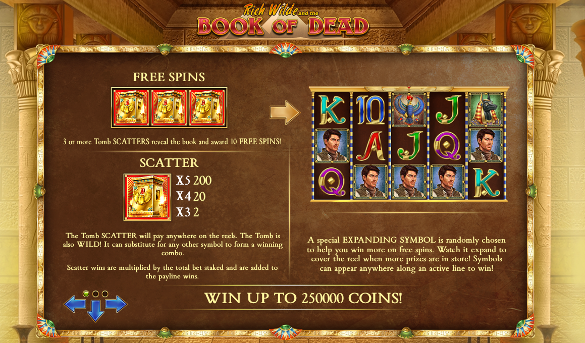 Free spins bonus round explanation