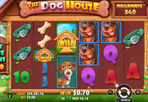 The Dog House Megaways