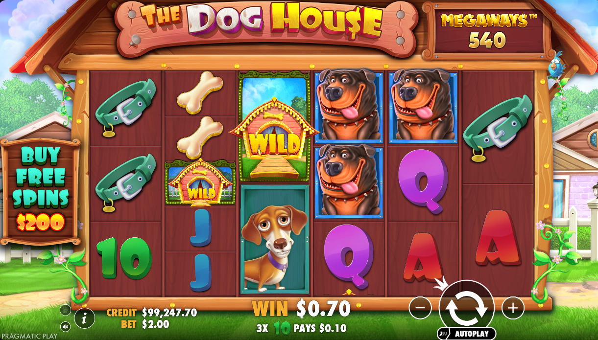 The Dog House Megaways