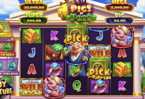4TP Pigs N’ Pots