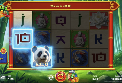 Bamboo Bear Deluxe