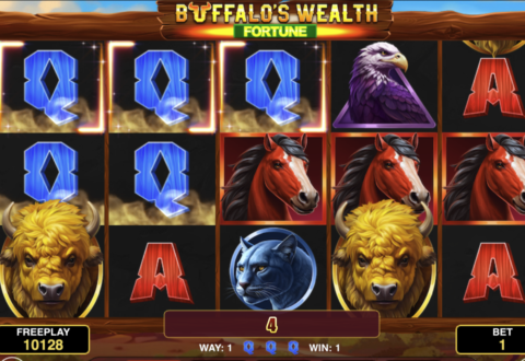 Buffalo’s Wealth Fortune