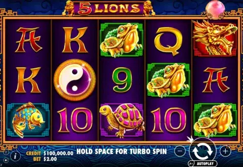 5 Lions