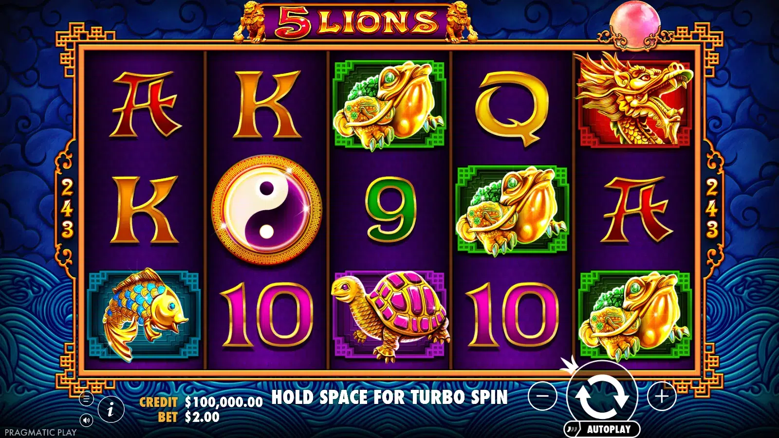 5 Lions 5x3 reels in standard play with 243 marked on both side panels