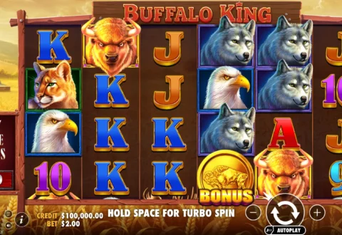 Buffalo King