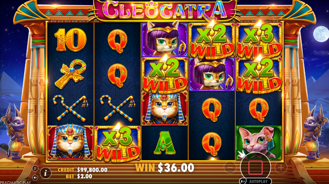 Cat-themed Egyptian slot showing five multiplier wilds on screen.
