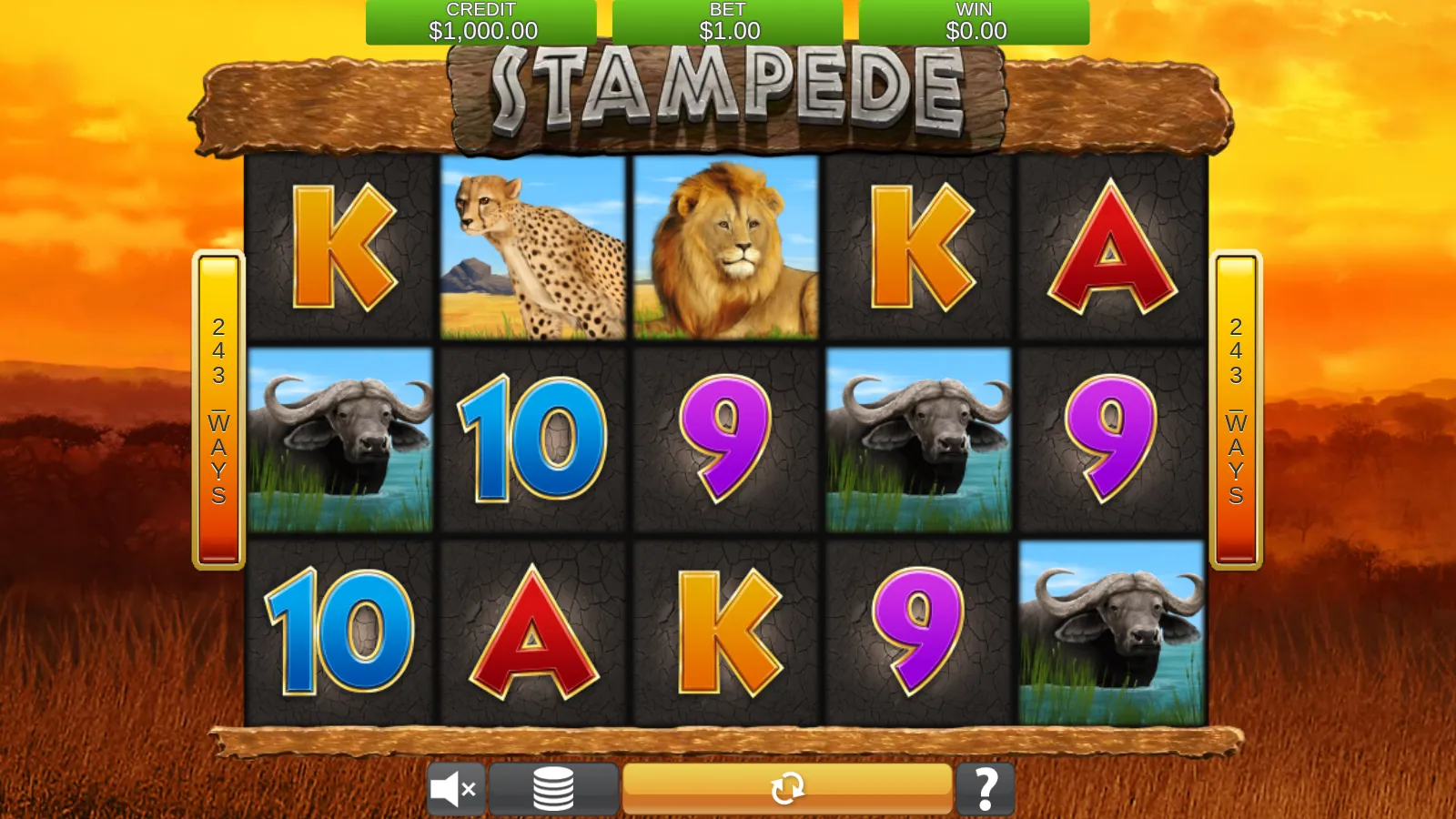 Stampede base game grid showing lion, cheetah and buffalo symbols with 243 WAYS side banners
