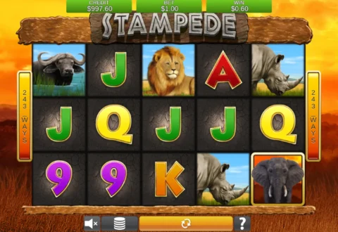Stampede