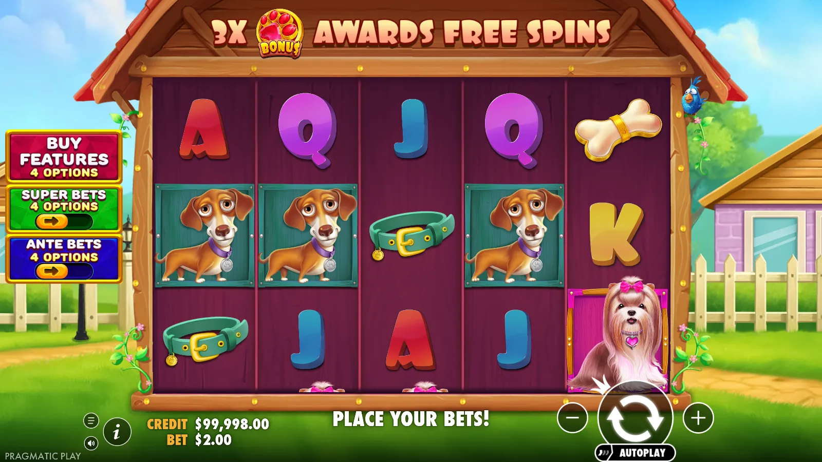 The Big Dog House 5x3 reels at rest with dachshund symbols on reels 1, 2 and 4 and the Buy Features, Super Bets and Ante Bets plaques on the left