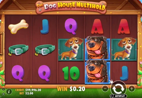 The Dog House Multihold