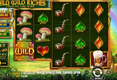 Wild Wild Riches